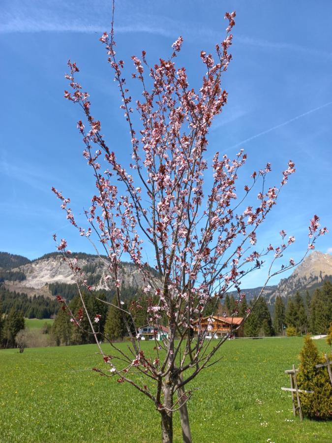 Ferienwohnung Am Schwand Grän Exterior foto